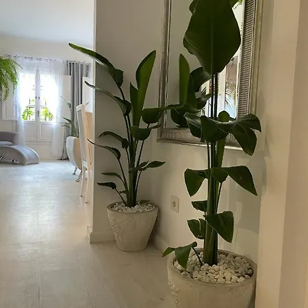 Apartamento Away From *